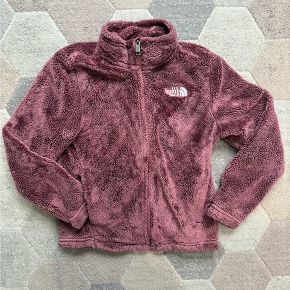 The North Face Other - The North Face Maroon Fleece Jacket